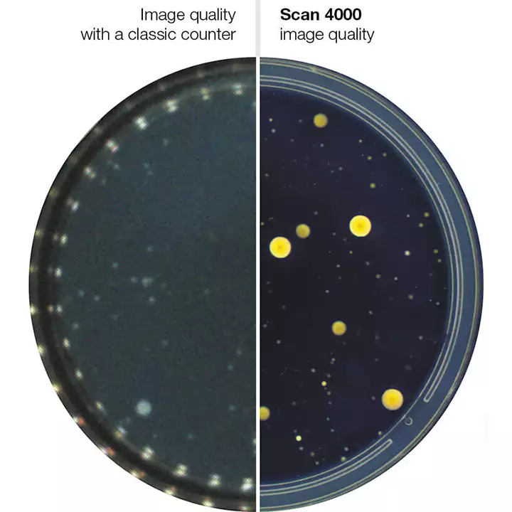 کلنی کانتر scan 40000